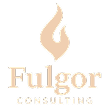Fulgor Consulting